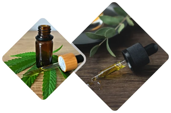CBD merchant services in USA